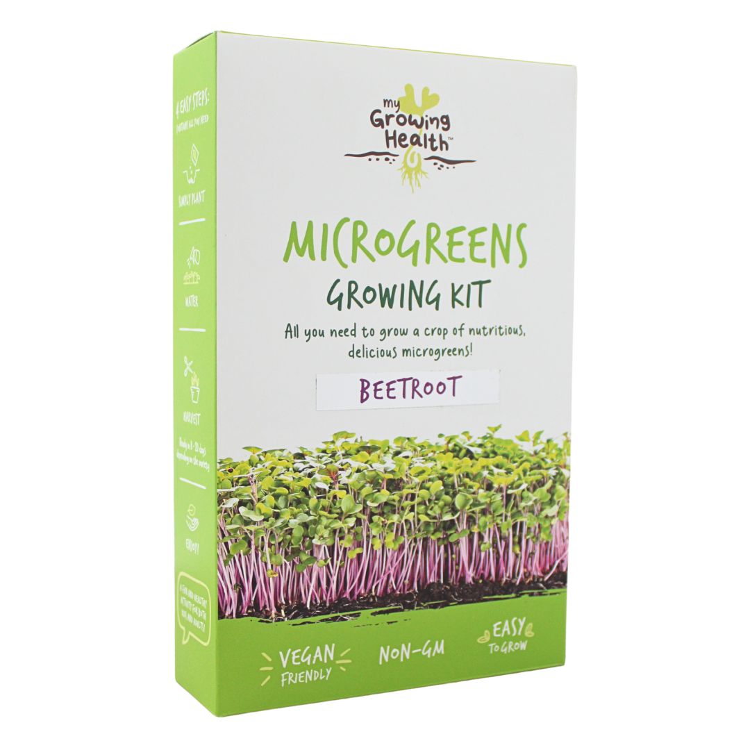 Beetroot Microgreens Kit: My Growing Health