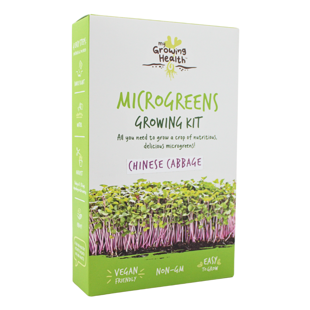 Chinese Cabbage Microgreens Kit: My Growing Health