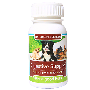 Digestive Support: Natural remedy for pet digestive health