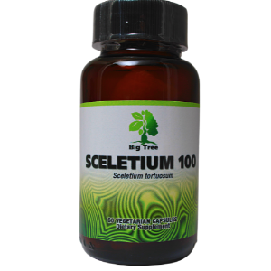 Sceletium Capsules Natural Mood Tonic | Big Tree