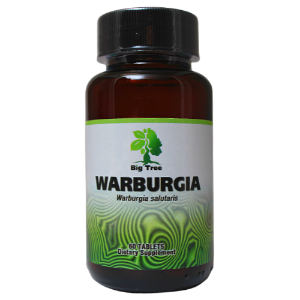 Warburgia Capsules: Natural Antibiotic & UTI Treatment | Big Tree